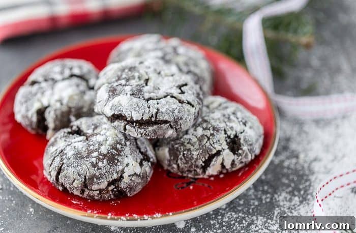 Mexican Chocolate Crinkle Cookies