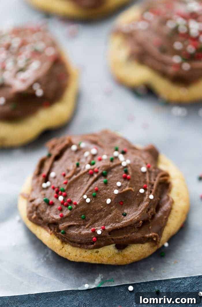 chocolate chip cookies with chocolate frosting