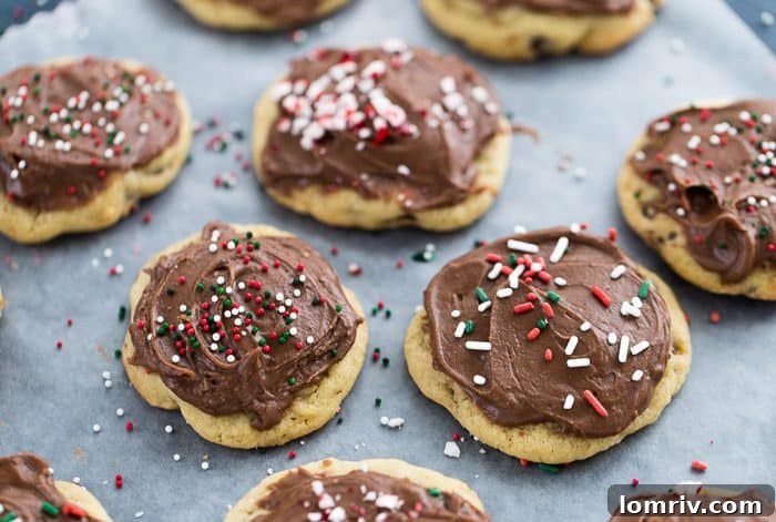 chocolate chip cookies with chocolate frosting