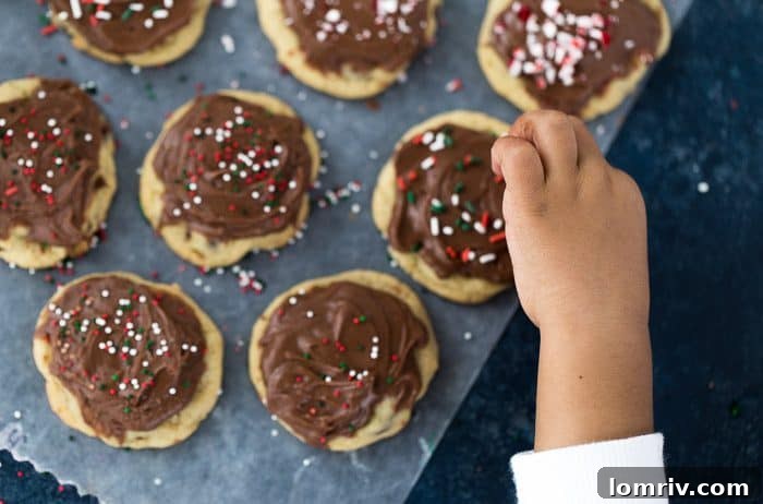 chocolate chip cookies with chocolate frosting
