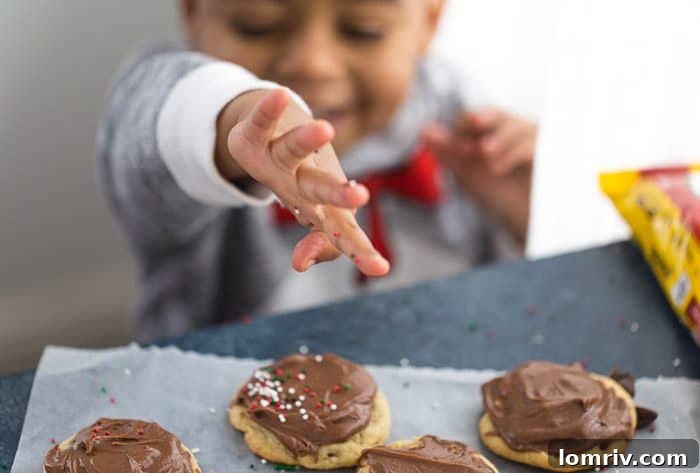 chocolate chip cookies with chocolate frosting