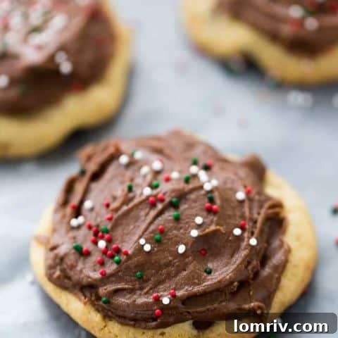 chocolate chip cookies with chocolate frosting