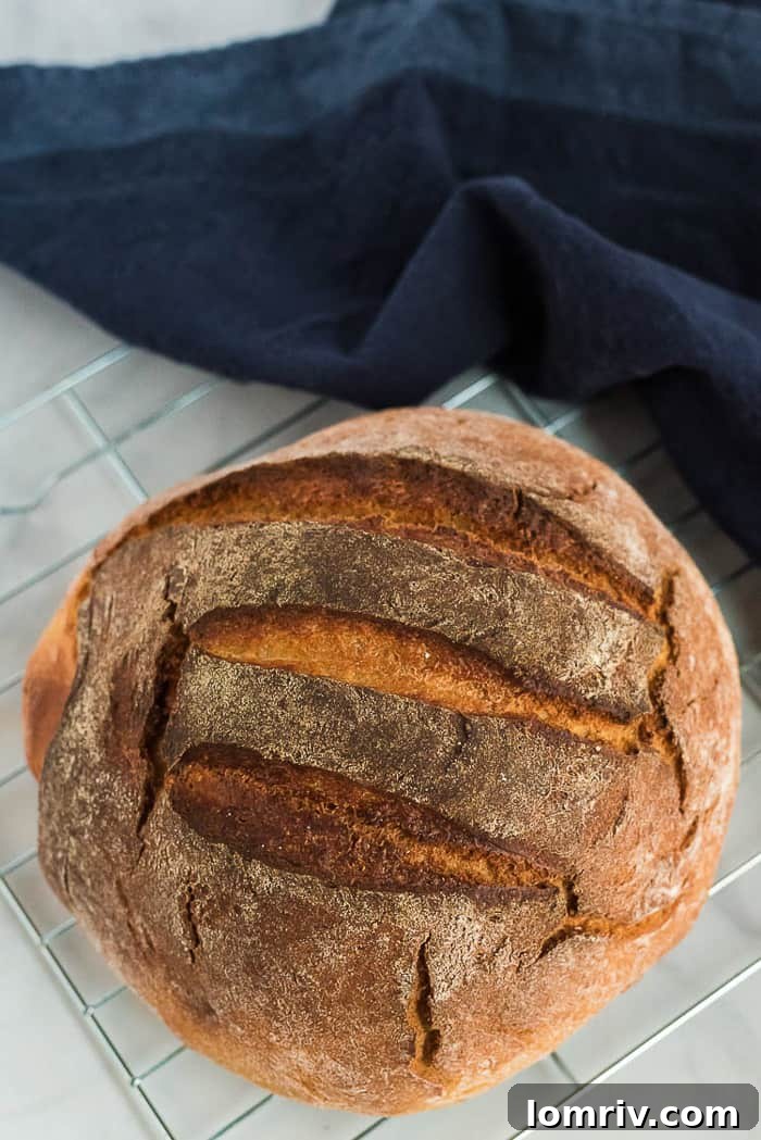 The first successful, rustic loaf of Honey Whole Wheat Bread with a golden-brown crust, fresh out of the oven.