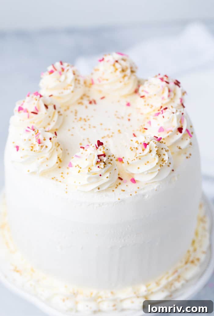 A beautifully decorated Pink Champagne Cake adorned with festive sprinkles, sitting on a cake stand, ready for celebration.