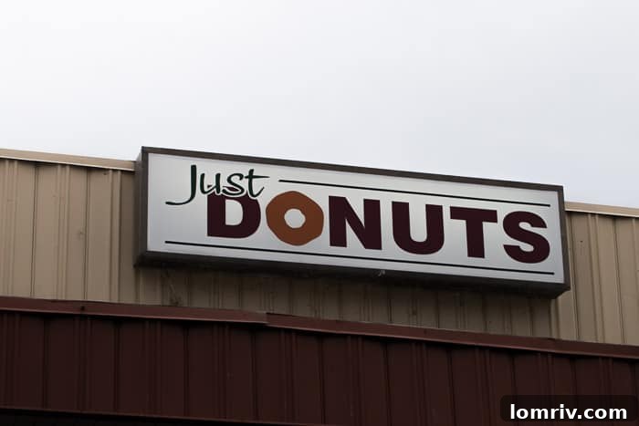 A vibrant selection of customized doughnuts adorned with various glazes and imaginative toppings, showcasing the creative freedom at Just Donuts.