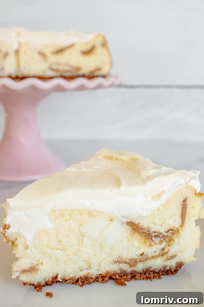 White Chocolate Biscoff Cheesecake
