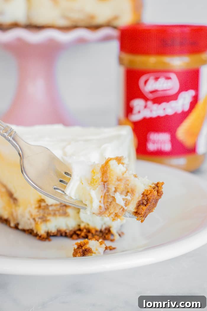 White Chocolate Biscoff Cheesecake