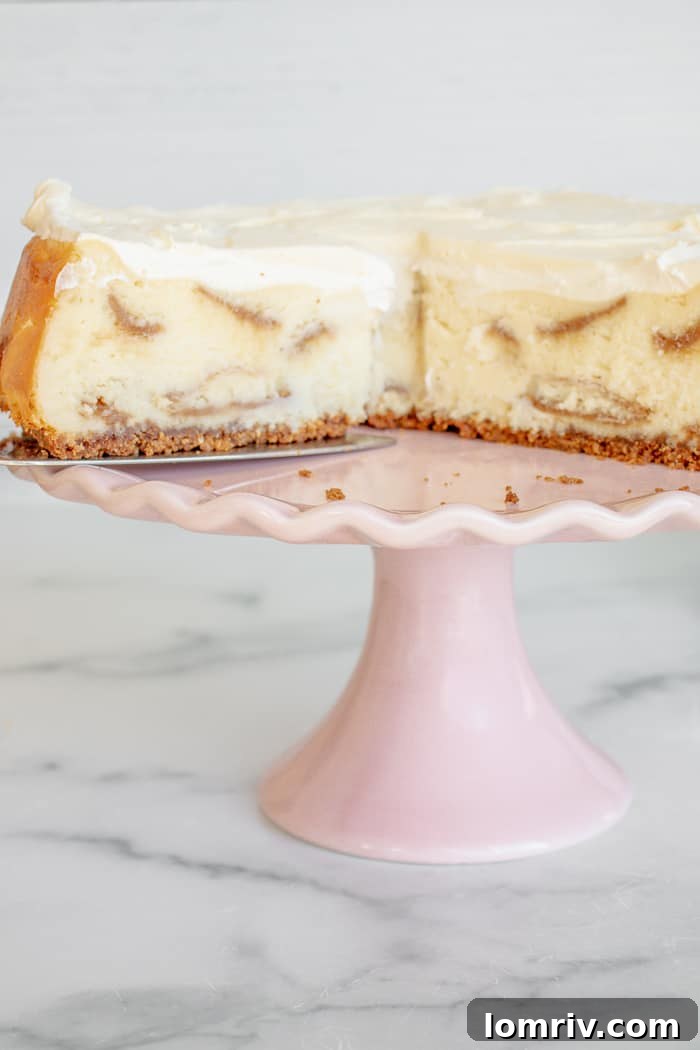 White Chocolate Biscoff Cheesecake