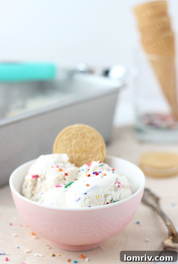 Close-up of freshly churned Funfetti Golden Oreo Ice Cream with visible cookie chunks and colorful sprinkles