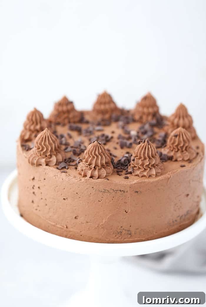 decadent chocolate pudding cake