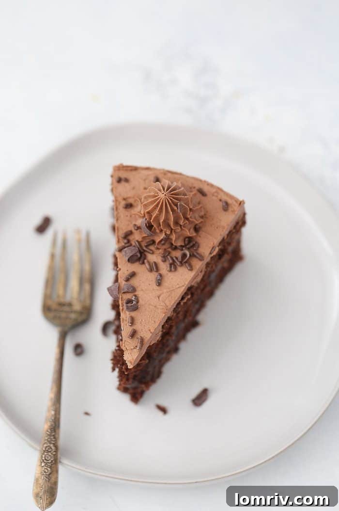 chocolate pudding cake with sprinkles