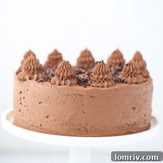 chocolate pudding cake