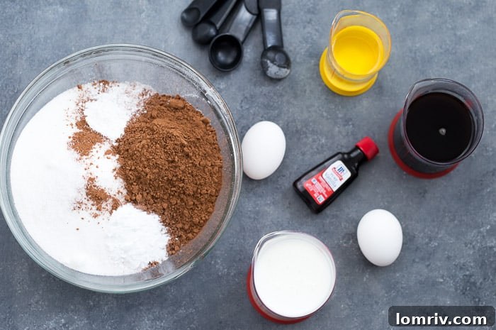 Detailed view of dry ingredients for one bowl chocolate cake