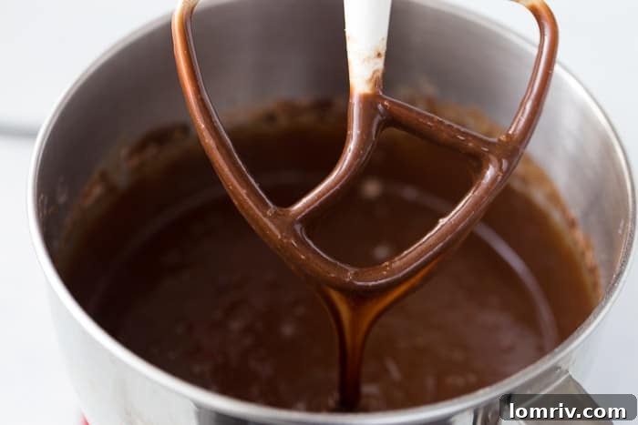 Mixing the one bowl chocolate cake batter in a large bowl