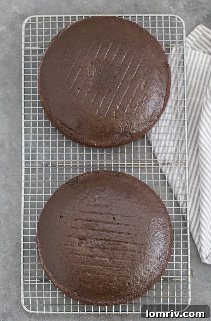 Baked chocolate cake cooling on a wire rack