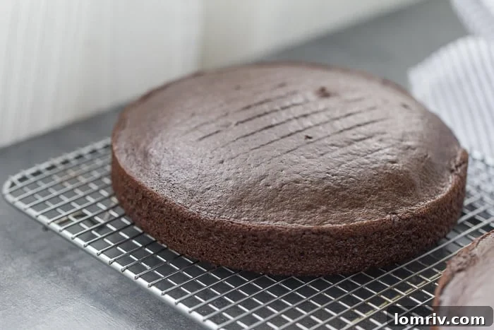Perfectly cooled chocolate cake layers ready for frosting
