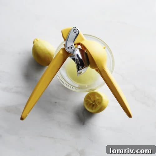 A close-up of a hand squeezing a fresh lemon with a citrus juicer, illustrating the simplicity and satisfaction of fresh ingredients.