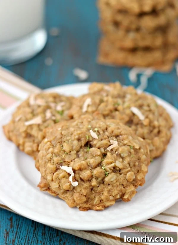 Mystery Dish Ingredients - Honey, Lime, Coconut, and Oats highlighted among a diverse list of secret ingredients.