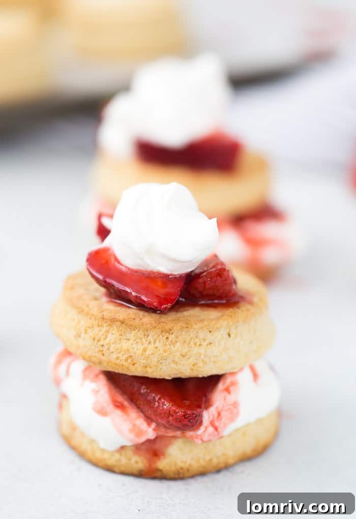 Classic Homemade Strawberry Shortcake with Fluffy Biscuits and Fresh Strawberries