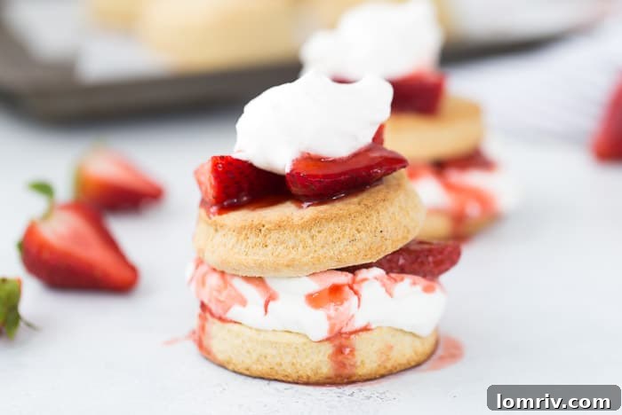 Close-up of a Perfectly Golden Brown Shortcake Biscuit