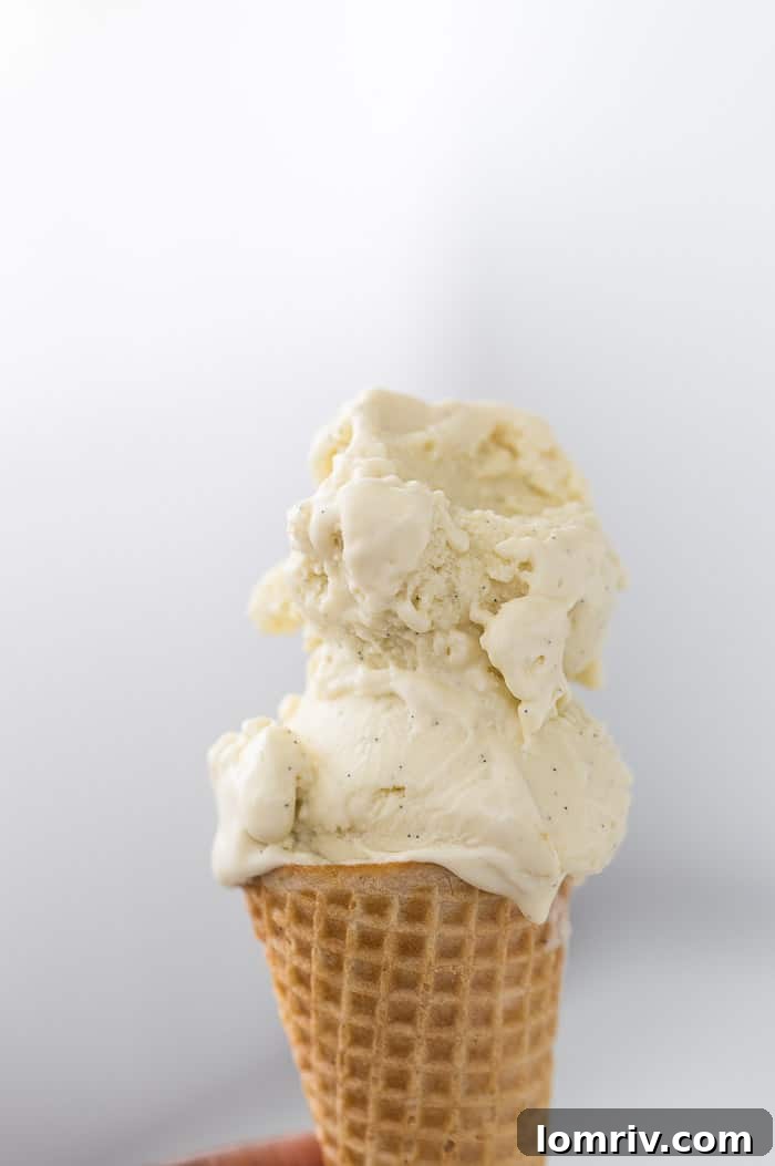 Final dish of Coconut Basil Ice Cream, ready to be served