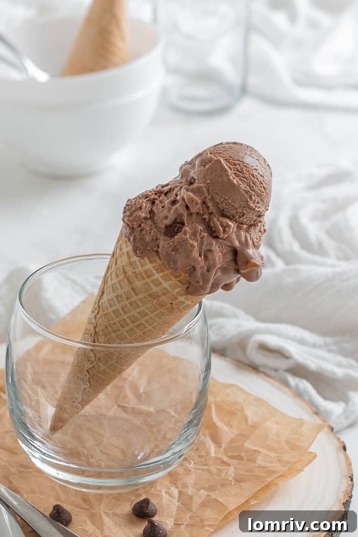 Chocolate Peanut Butter Ice Cream