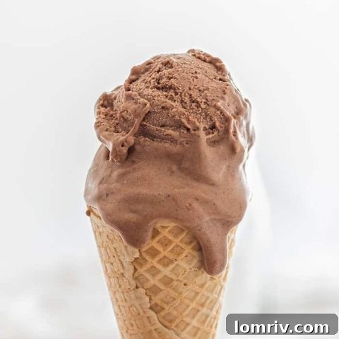 Chocolate Peanut Butter Ice Cream
