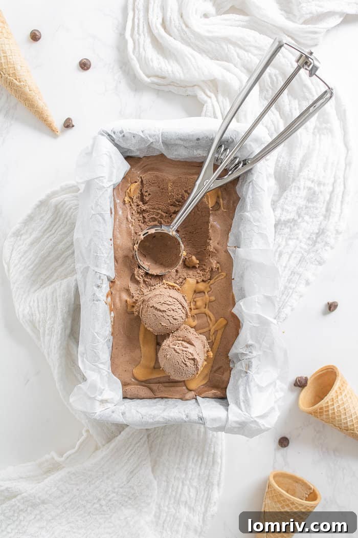 Chocolate Peanut Butter Ice Cream