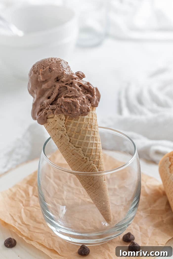 Chocolate Peanut Butter Ice Cream