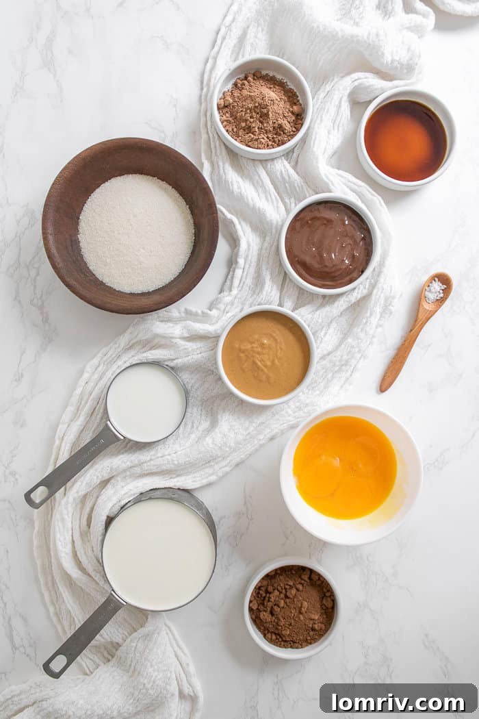 Chocolate Peanut Butter Ice Cream Ingredients