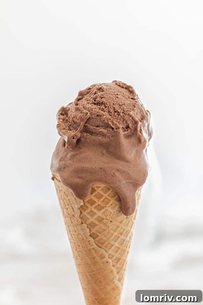 Chocolate Peanut Butter Ice Cream