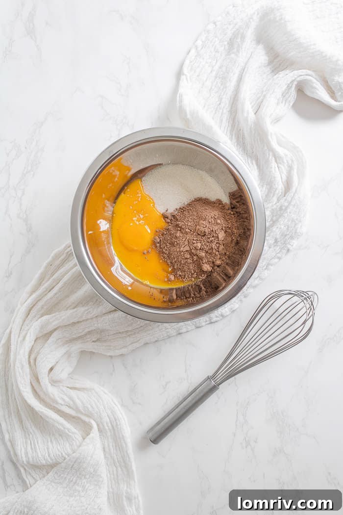 Chocolate Peanut Butter Ice Cream