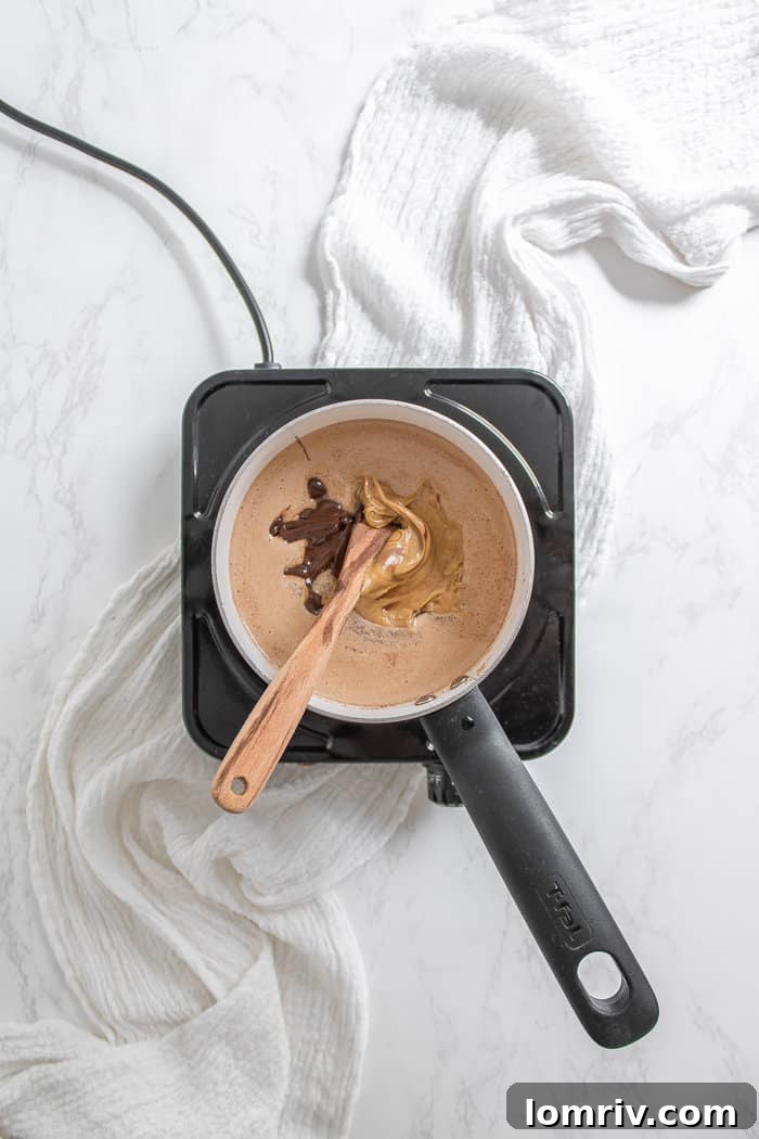 Chocolate Peanut Butter Ice Cream
