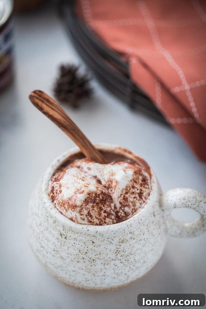 Rich and creamy homemade Gingerbread Hot Chocolate topped with whipped cream, perfect for winter