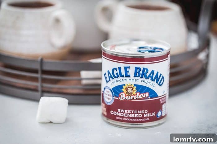 Close-up of a mug of Gingerbread Hot Chocolate, showcasing its rich texture and festive appeal