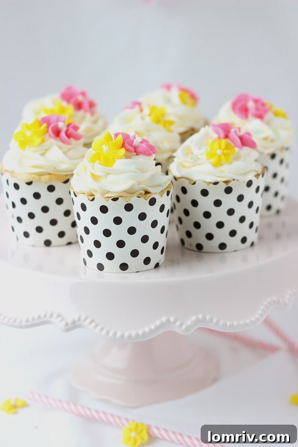 Moist and fluffy vanilla anise cupcakes with elegant anise buttercream