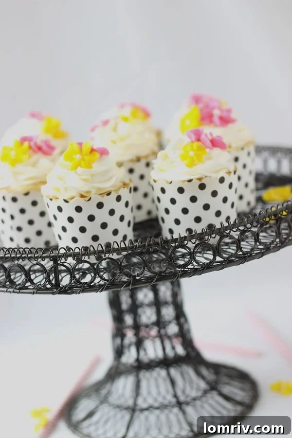 A tray of freshly baked vanilla anise cupcakes