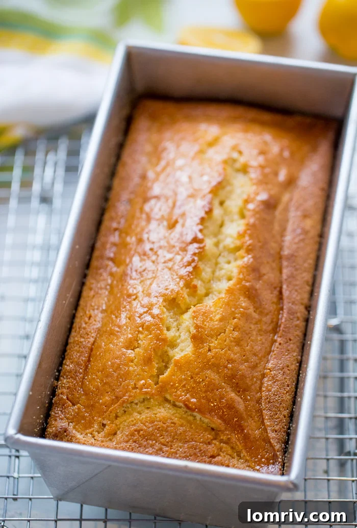 Rich, Moist Browned Butter Meyer Lemon Cake