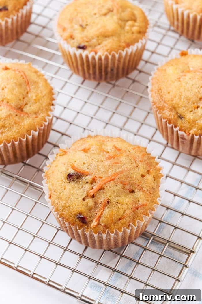 Freshly baked carrot cake cupcakes cooling on a wire rack.