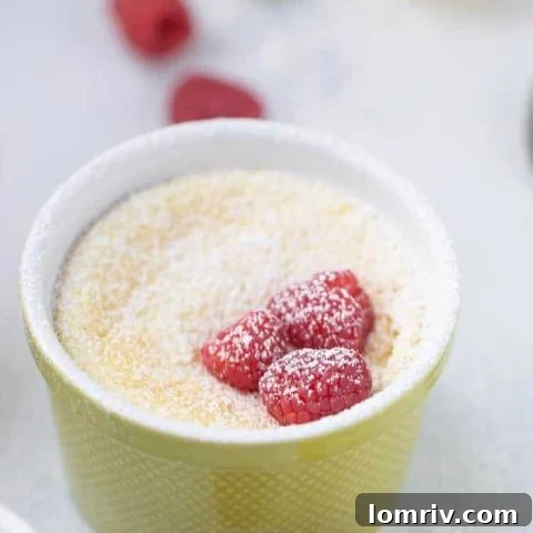 The Ultimate Gooey Lemon Pudding Cake - A Bright and Zesty Spring Dessert for Lemon Lovers