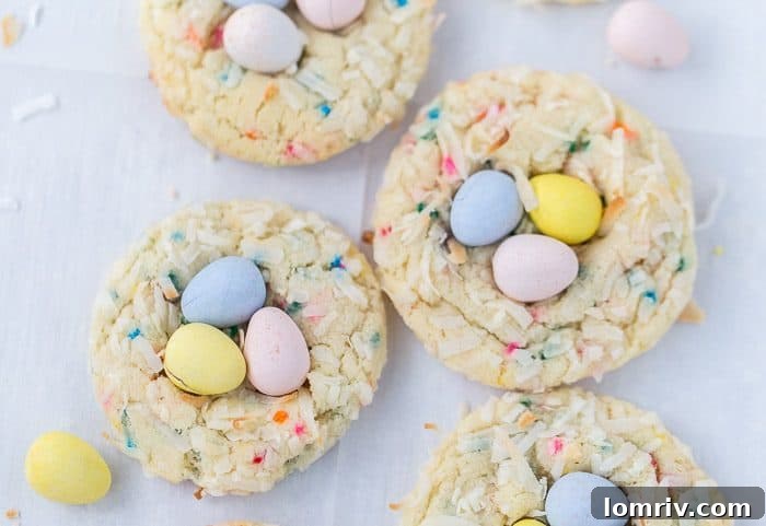 Bird's Nest Funfetti Sugar Cookies