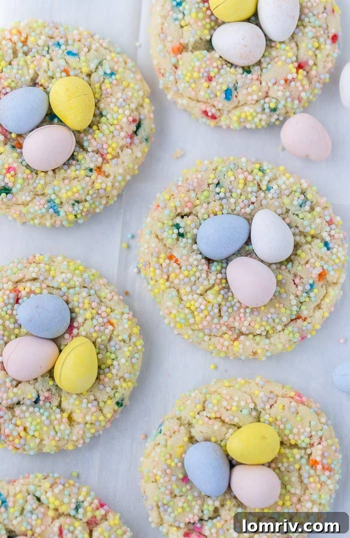 Bird's Nest Funfetti Sugar Cookies