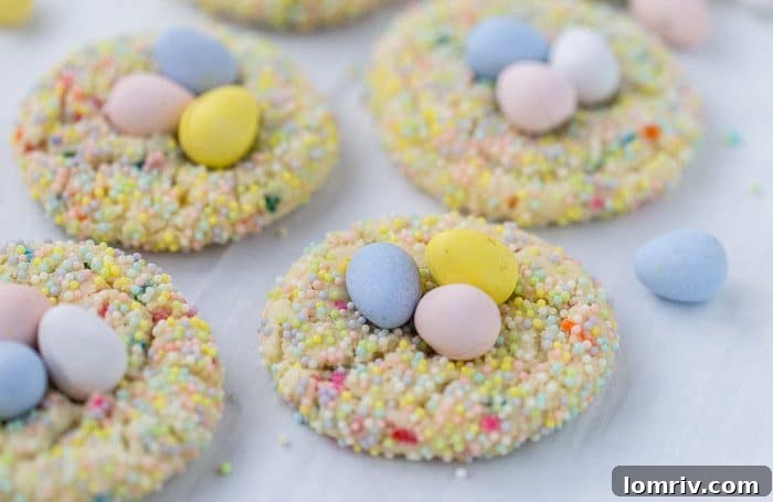 Bird's Nest Funfetti Sugar Cookies