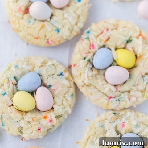 Bird's Nest Funfetti Sugar Cookies