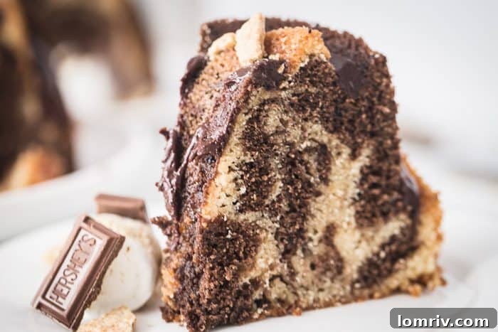 Elegant S'mores Bundt Cake Topped with Toasted Marshmallows and Chocolate Drizzle