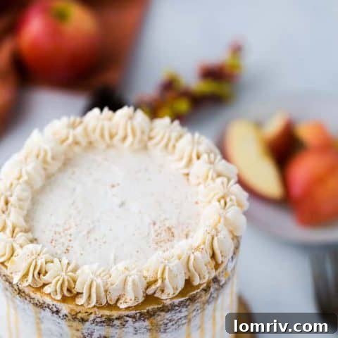 A beautiful apple spice cake with whipped cinnamon frosting and caramel drizzle.