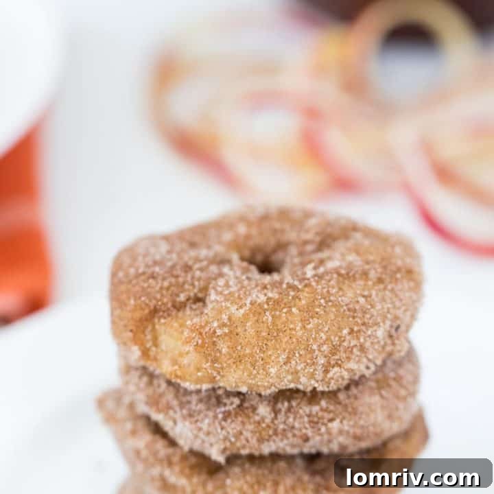 Golden fried apple fritters drizzled with caramel sauce.