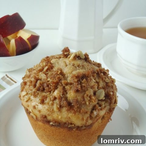 Moist apple muffins with a crunchy oatmeal streusel topping.