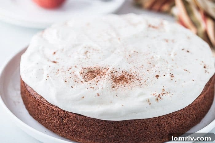 Slice of Buttermilk Applesauce Cake with Frosting