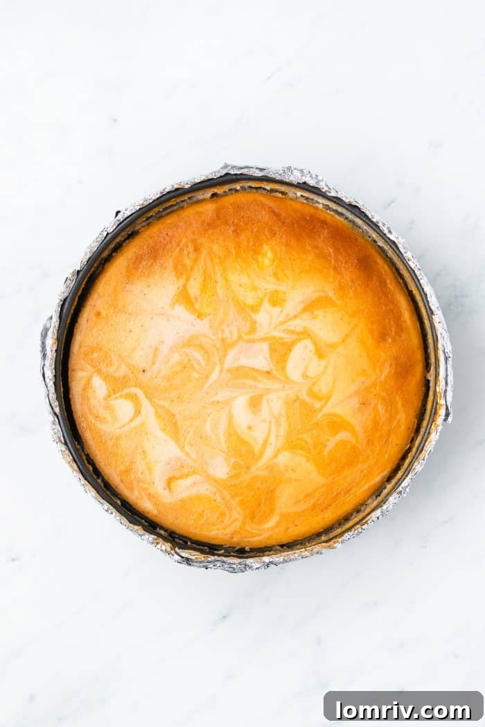 A baked pumpkin swirl cheesecake still in the cheesecake pan.